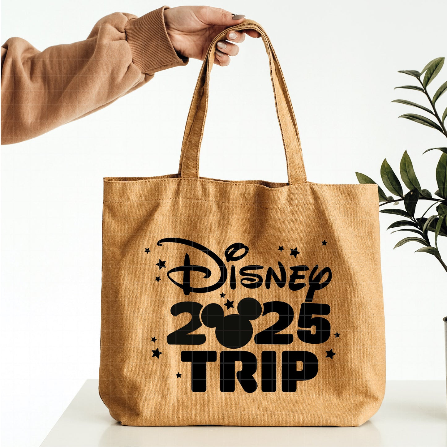 COD1808 - Disney 2025 trip svg, mickey svg, castle svg, Trip svg, Silhouette, Cricut