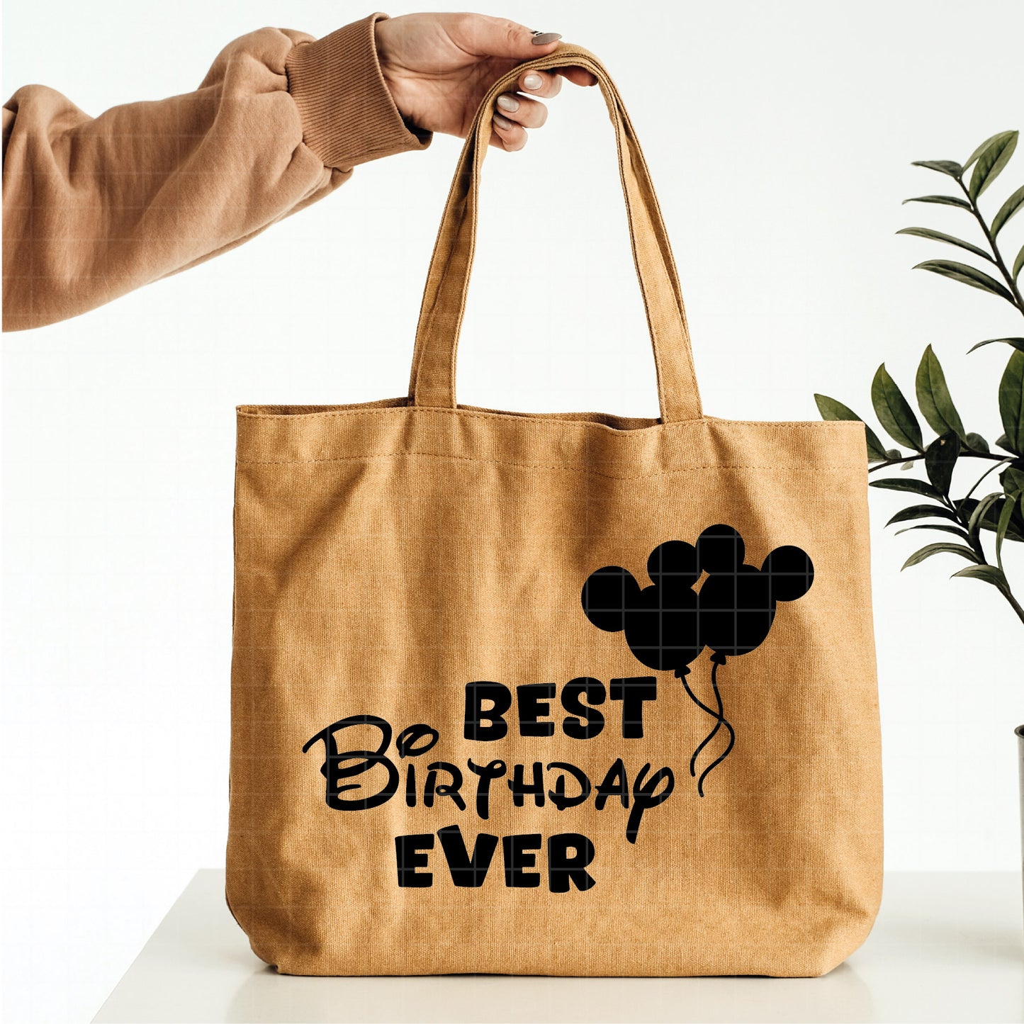 COD3062- Best Birthday ever svg, birthday svg, minnie svg, castle svg, Silhouette, disney svg